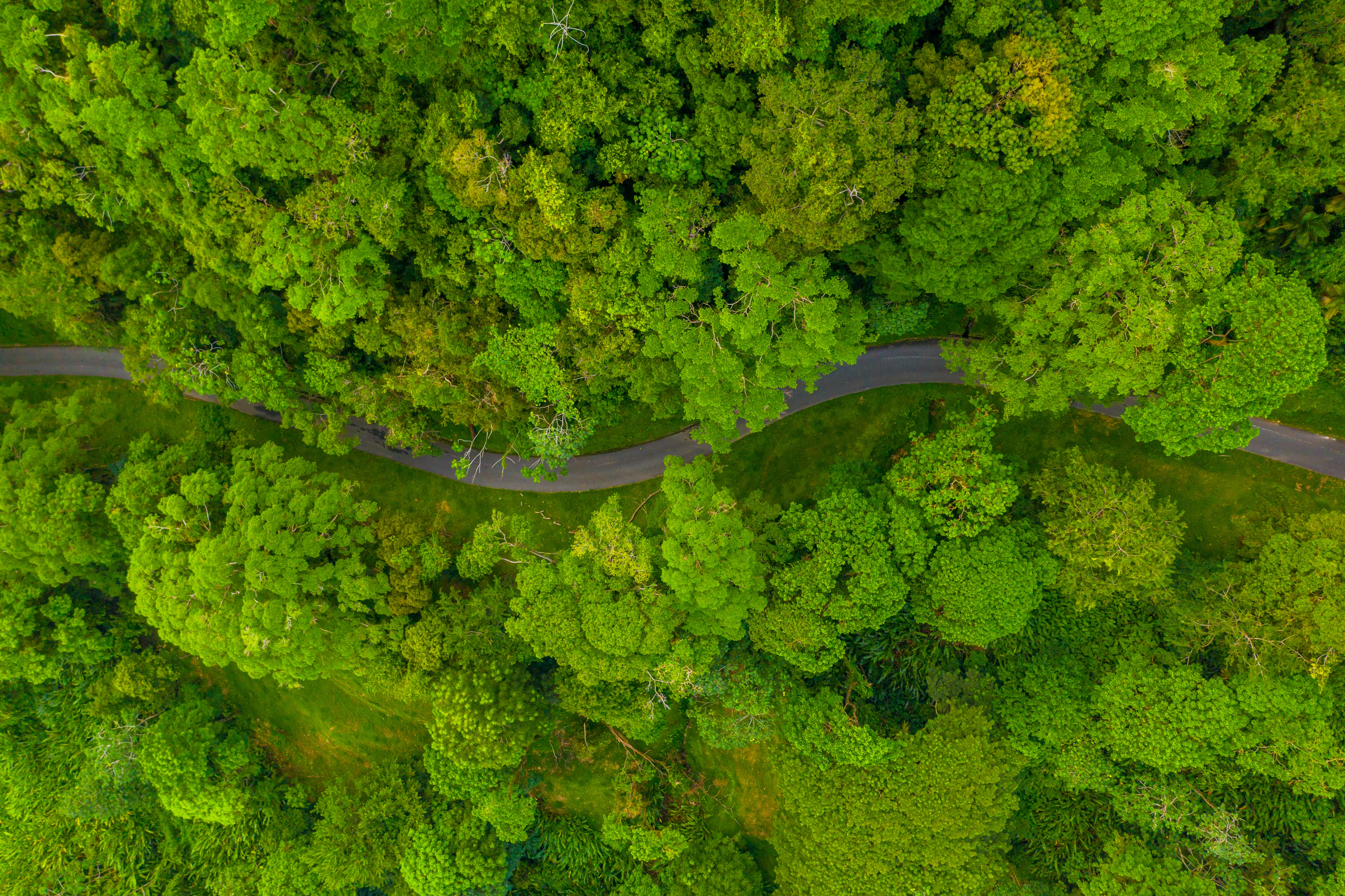 Journey to sustainability